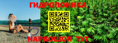 ECSTASY Гай