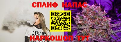ECSTASY Гай