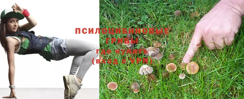 Галлюциногенные грибы Magic Shrooms  Карталы 