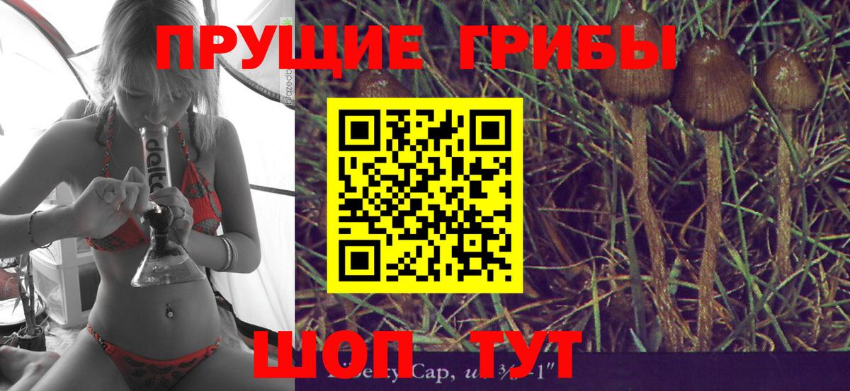 МЕТАДОН Карталы